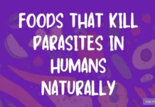 Top 10 Foods That Kill Parasites in Humans Naturally Top 10 Foods That Kill Parasites in Humans Naturally