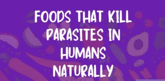Top 10 Foods That Kill Parasites in Humans Naturally Top 10 Foods That Kill Parasites in Humans Naturally
