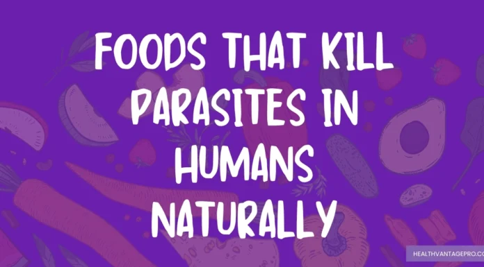 Top 10 Foods That Kill Parasites in Humans Naturally Top 10 Foods That Kill Parasites in Humans Naturally