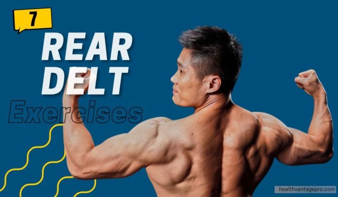 Rear Delt Exercises